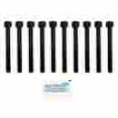 016-1051 Beck Arnley Cylinder Head Bolt Set 049797892221