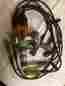 0231187001 1973 Mercedes Benz W114 W115 Bosch Distributor
