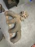 12559103-1 Gm Exhaust Manifold Oem