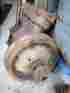 19211924 1923 1922 1921 1919 1918 Chevrolet Engine Core