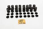Zz-502 2021 Ultradyne Chevy 502 Valve Springs