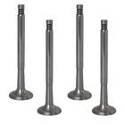 356b-356c-911-912 616.405.406.50.set Trw Exhaust Valve Set Groove