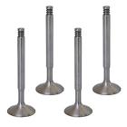3041-3 6161054013gset Trw Exhaust Valve Set Groove Super