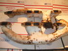 7534 Fel Pro Oldsmobile 6 Cylinder