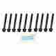 81031300 Ajusa Cylinder Head Bolt Set