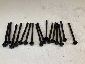 306.gm6k13 Cadillac 13 14 15 16 17 Ats 3.6l Engine Cylinder Head Bolt Bolts Set Of N
