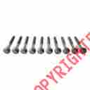 Gs33495 Victor Reinz Cylinder Head Bolt Set 027067718846