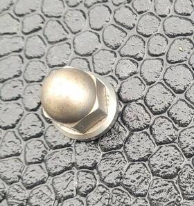 303886 Maserati 2014 Ghibli Cylinder Head Nut 2015