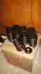 P2806077 426 Hemi Mopar Performance Valve
