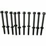 Pznreph320204 Prozone New Set Of Cylinder Head Bolts For Honda Civic