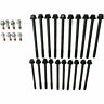 Tbtrepj320201 Trustbuilt New Cylinder Head Bolts Set Of Ram Truck Dodge