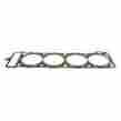 W0133-1630092-pay Payen Cylinder Head Gasket