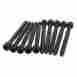 W0133-1808191-rei Victor Reinz Cylinder Head Bolt Set