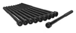 Engine Cylinder Head Bolt Set Ajusa 81026700. Fixed Price $65.34.