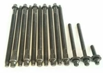 07-10 Mini COOPER/BASE/CONVERTIBLE/CLUBMAN//N12/R56/R55/R57 Cylinder Head Bolts. Fixed Price $75.00.