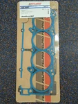 New Fel-pro 26423 Pt Head Gasket Chrysler Dodge Ram 5.7L V8 345 Hemi Permatorque. Fixed Price $37.99.