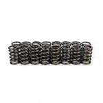 Bc For Honda/acura K20A3/K24A Single Valve Springs. Fixed Price $101.23.