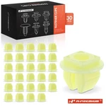 A-premium 30PCS M5.5 (#12) Front &rear Bumper Screw Grommet Fastener For Nissan. Fixed Price $12.99.