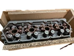 Renewed Genuine International 2501678C91 Cylinder Head 7.3L T444E 1825113C1. Fixed Price $2695.00.