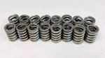Valve Springs SET/16 For Some 1957-66 Chevy 283 327+1977-81 Pontiac 301 V8. Fixed Price $64.48.