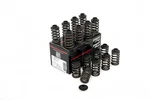 Piper Single Valve Spring Kit & Caps Ford Zetec Black Top 16V ST170. Fixed Price $429.41.