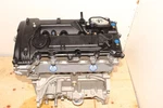 Brand New 2013-2018 Kia Forte 2.0L G4NC 4-CYLINDER Non Turbo Gdi Engine Motor. Fixed Price $2299.00.