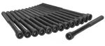 Engine Cylinder Head Bolt Set Ajusa 81016700. Fixed Price $83.91.