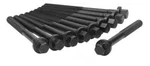 Engine Cylinder Head Bolt Set Ajusa 81003900. Fixed Price $92.99.