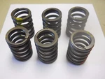 Nos 1979 Ford Mustang 5.0L Valve Springs - Partial Set Of 6. Fixed Price $29.99.