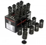 Piper Cams Peugeot 106 Gti / Citroen Saxo Vts - Race Double Valve Spring Kit. Fixed Price $654.94.