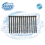 Cylinder Head Bolts Jaguar XJ6 Xjs Xjr Sovereign 3.2 3.6 4.0 AJ6 AJ16 X300 XJ40. Fixed Price $68.16.