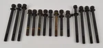 1949-1956 International Silver Diamond Complete Head Bolt Set 15 Ih SD-220. Fixed Price $134.99.