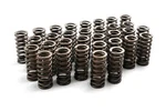 Rudy's High Rev Valve Springs 2003-2010 Ford 6.0L 6.4L Powerstroke Diesel. Fixed Price $399.00.
