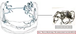 Engine Room Harness Oem 2022 Ford Broncospt. Fixed Price $299.00.