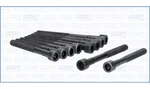 Genuine Ajusa Oem Replacement Cylinder Head Bolt Set 81014700. Fixed Price $33.23.