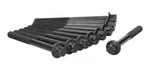 Engine Cylinder Head Bolt Set Ajusa 81042900. Fixed Price $67.92.