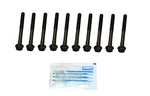 Ajusa 81008300 Engine Cylinder Head Bolt Set. Fixed Price $19.99.