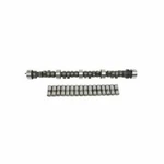 396 454 427 Cam Kit L78 375HP 450 LS6 ( Edm Special Lifters). Fixed Price $595.00.
