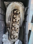 Atk Engines 2CT11 Cylinder Head 2007-2009 Chevy Corvette Truck Su. Fixed Price $350.00.