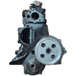 Ford 300/4.9L L6 1980-1996 Remanufactured Engine. Fixed Price $2629.99.