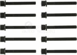 Victor Reinz Engine Cylinder Head Bolt Set 143204601 049103384B(10X). Fixed Price $62.85.