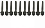 Engine Cylinder Head Bolt Set Crp 81000300. Fixed Price $66.99.