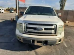 Passenger Right Cylinder Head 5.0L Fits 11-14 Ford F150 Pickup 206752. Fixed Price $325.00.