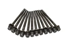 2014-2018 Subaru Forester Oem 2.0L 2.5L Engine Left & Right Cylinder Head Bolts. Fixed Price $64.99.