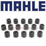 Mahle SS45399 Engine Valve Stem Oil Seal Set For SS15711 72562 72561-1 Wk. Fixed Price $23.89.