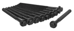 Engine Cylinder Head Bolt SET-T4, Gas, Dohc, Fi, Turbo, 16 Valves, Sedan Ajusa. Fixed Price $39.45.