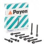 Payen Cylinder Head Bolts Kit HBS132. Fixed Price $47.26.