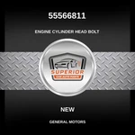 Genuine 2011-2019 Chevrolet Cruze Engine Cylinder Head Bolt 55566811. Fixed Price $39.00.