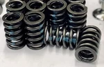 Valve Springs SET/8 W/damper For 1963-70 Chevy Ii Nova 153+SOME 1978-93 2.5L 151. Fixed Price $39.20.