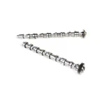 2.0TDI Intake&exhaust Camshafts Fit For Vw Golf Jetta Passat Audi Q3 Q5. Fixed Price $229.85.